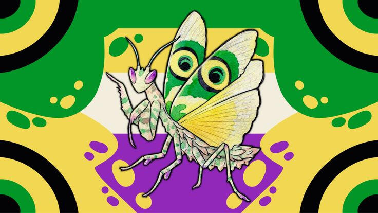 Spinyflowermantisgender: An xenogender relating to the insect, Spiny Flower Mantis.