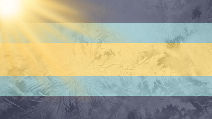 Sunlitglacic: An xenogender relating to the feeling of being ice or frost under the gentle rays of the sun.